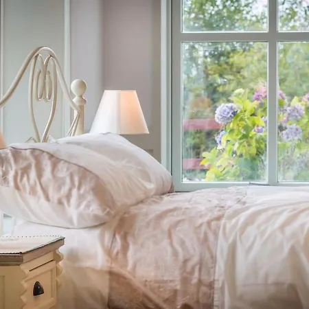 Country Setting In The Middle Of Town.